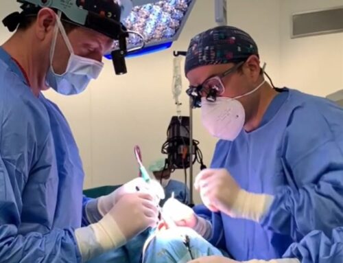 Rinoplastia ultrasónica: la revolución de la cirugía nasal
