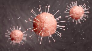 Virus del Papiloma Humano (VPH)