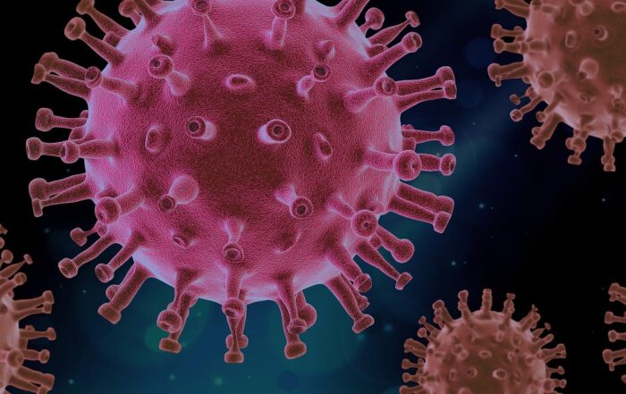 Virus del Papiloma Humano (VPH)